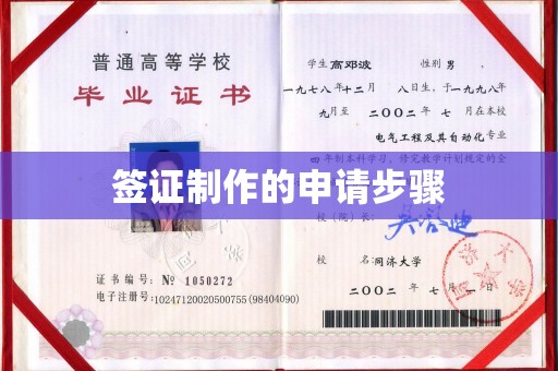 泾川签证制作的申请步骤