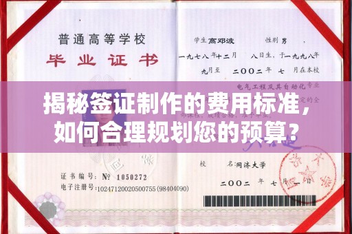 泾川揭秘签证制作的费用标准，如何合理规划您的预算？