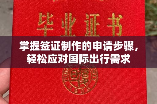 泾川掌握签证制作的申请步骤，轻松应对国际出行需求