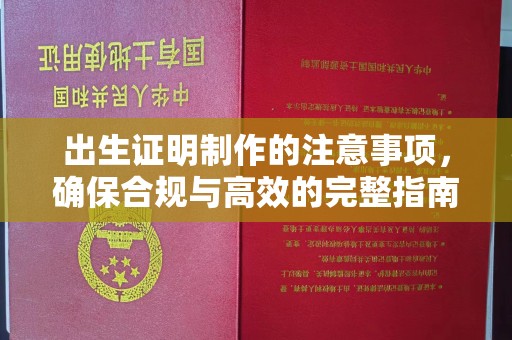 泾川出生证明制作的注意事项，确保合规与高效的完整指南