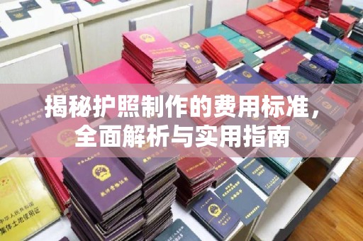 泾川揭秘护照制作的费用标准，全面解析与实用指南