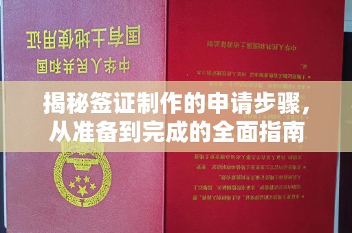 泾川揭秘签证制作的申请步骤，从准备到完成的全面指南