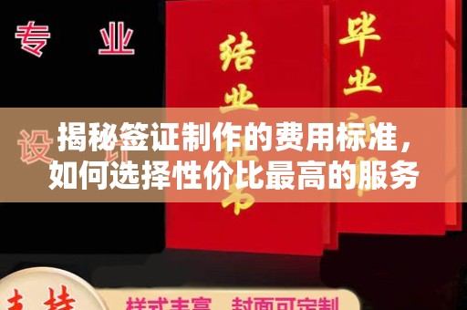 泾川揭秘签证制作的费用标准，如何选择性价比最高的服务？