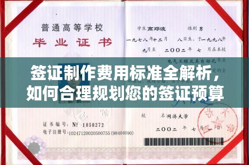 泾川签证制作费用标准全解析，如何合理规划您的签证预算？
